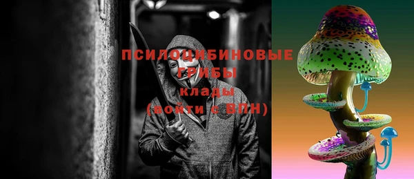гидропоника Вяземский