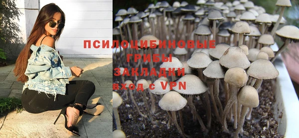 a pvp Вязьма