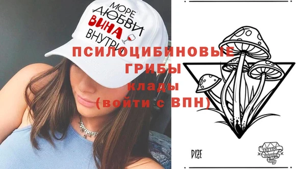 ГАЛЛЮЦИНОГЕННЫЕ ГРИБЫ Верхнеуральск