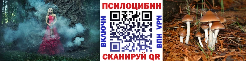 Псилоцибиновые грибы мухоморы Зверево